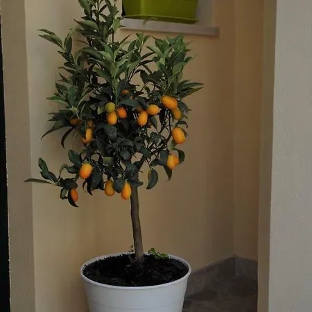 Il Cancelletto Dom wakacyjny *